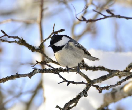 Фото Марии Сидоренко
