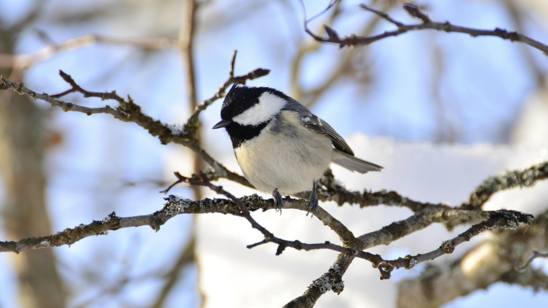Фото Марии Сидоренко