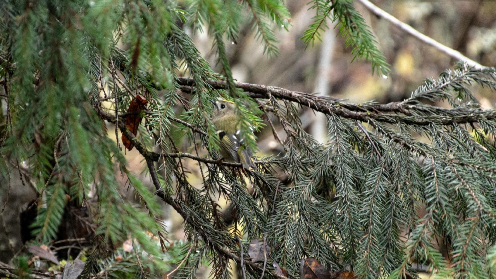 Фото Марии Сидоренко