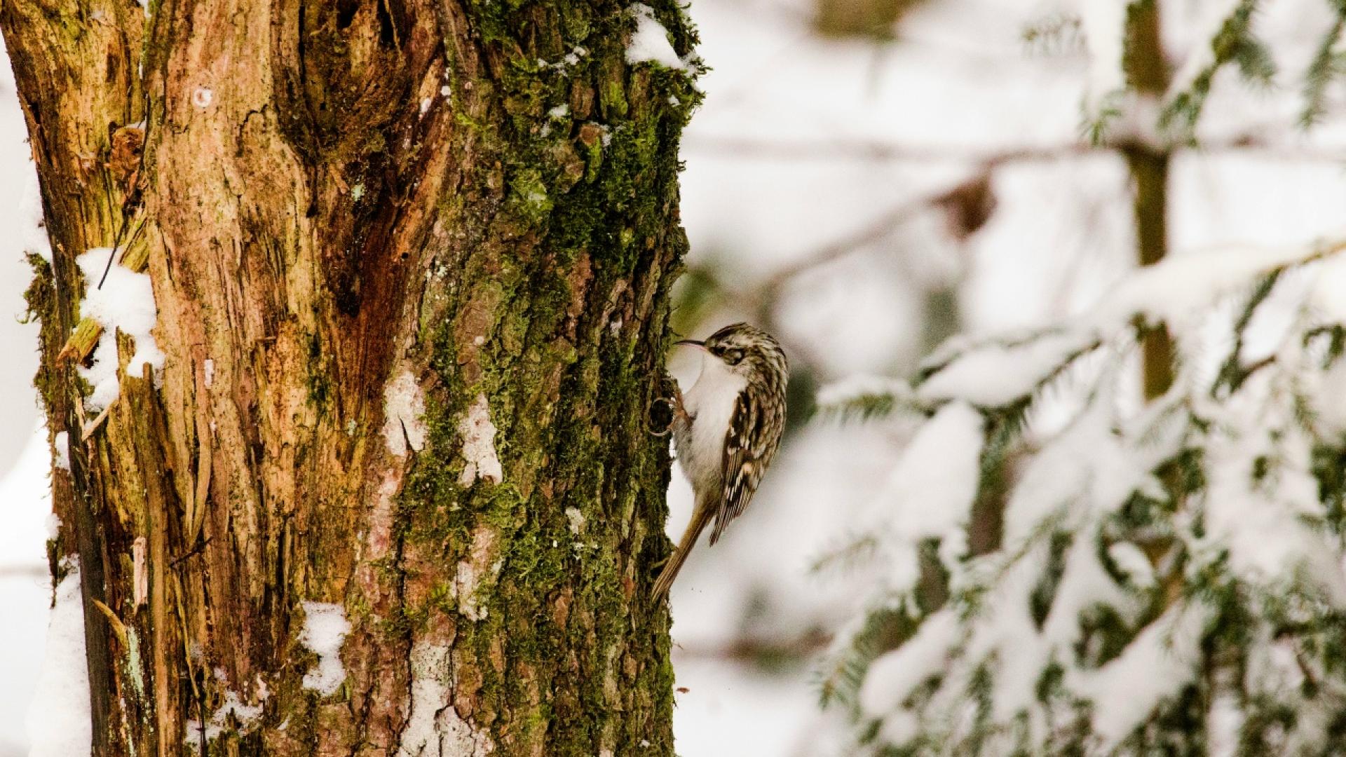 Фото Марии Сидоренко